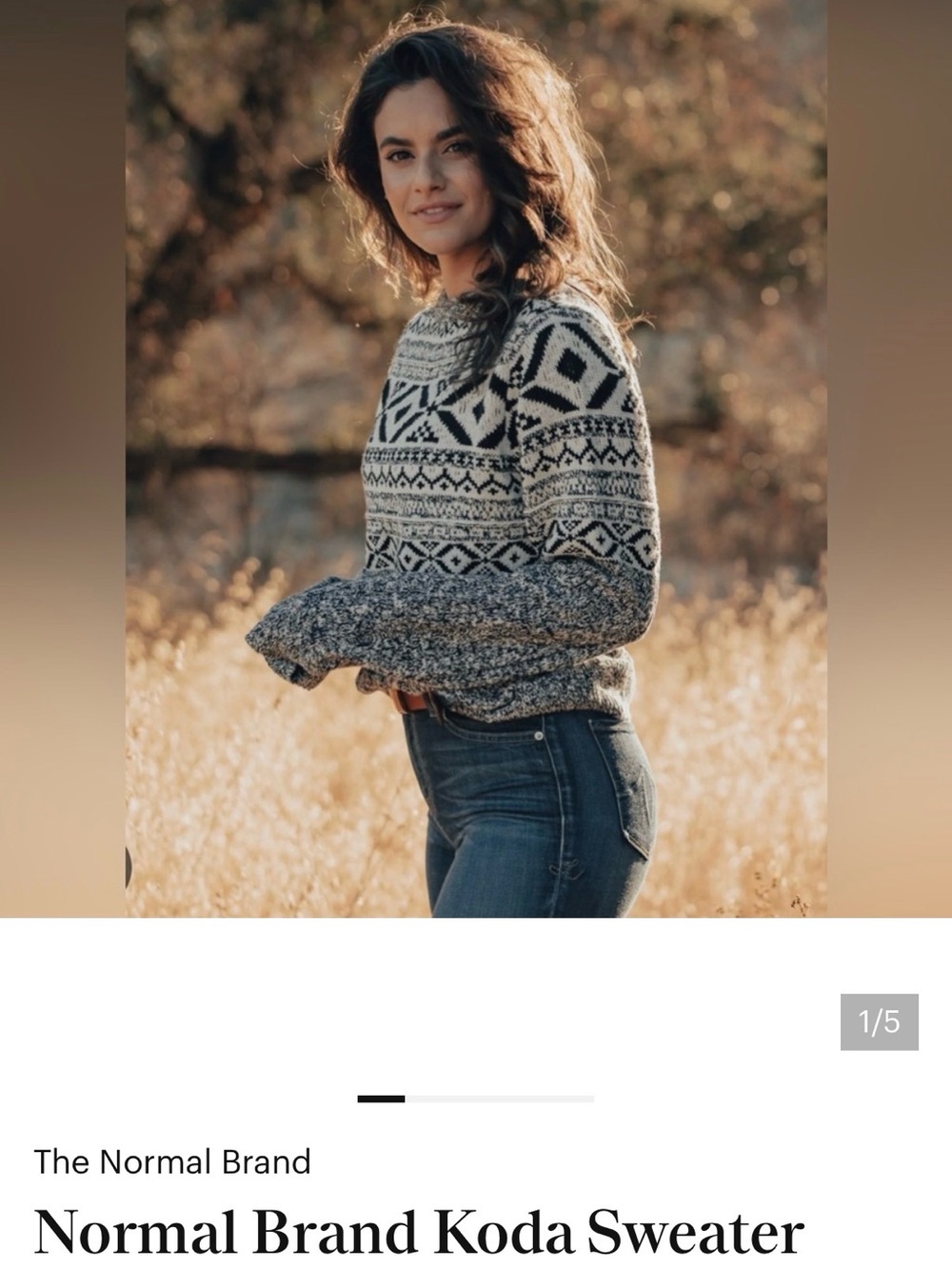 The Normal Brand Gray & Cream Fair Isle Crewneck Sweater